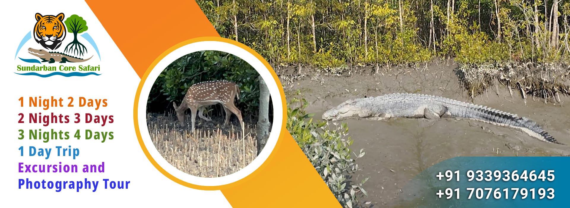 sundarban core safari