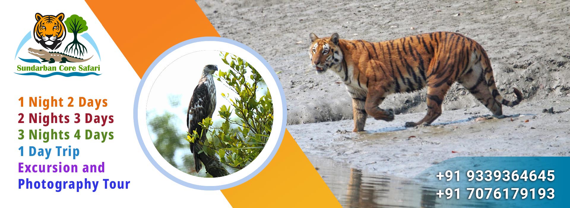 sundarban core safari