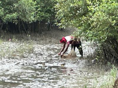 Tourist Gallery Sundarban Core Safari