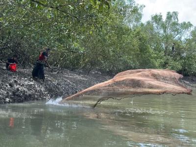 Tourist Gallery Sundarban Core Safari