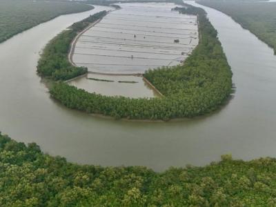 Tourist Gallery Sundarban Core Safari