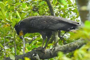 Sundarban-Maa-Mamatamayee-Tour-and-Travels