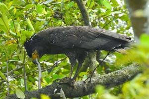 Sundarban-Maa-Mamatamayee-Tour-and-Travels