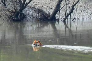 sundarbancoresafari