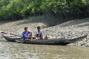 Sundarban Core Safari